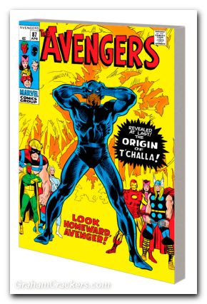 Mighty MMW Black Panther TPB #02 Look Homeward DM Cover