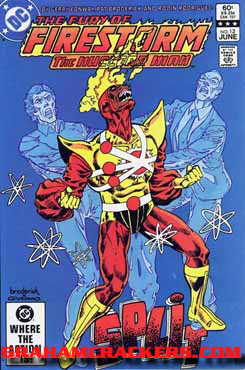 Fury of Firestorm #13 (1982)