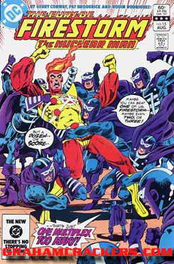 Fury of Firestorm #15 (1982)