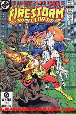 Fury of Firestorm #2 (1982)