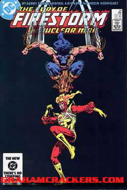 Fury of Firestorm #26 (1982)