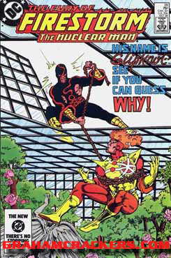 Fury of Firestorm #28 (1982)