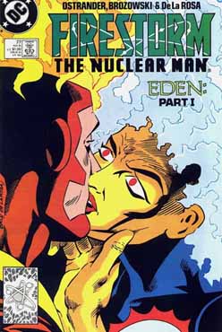 Fury of Firestorm #77