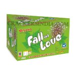 FALL IN LOVE -VANITHA